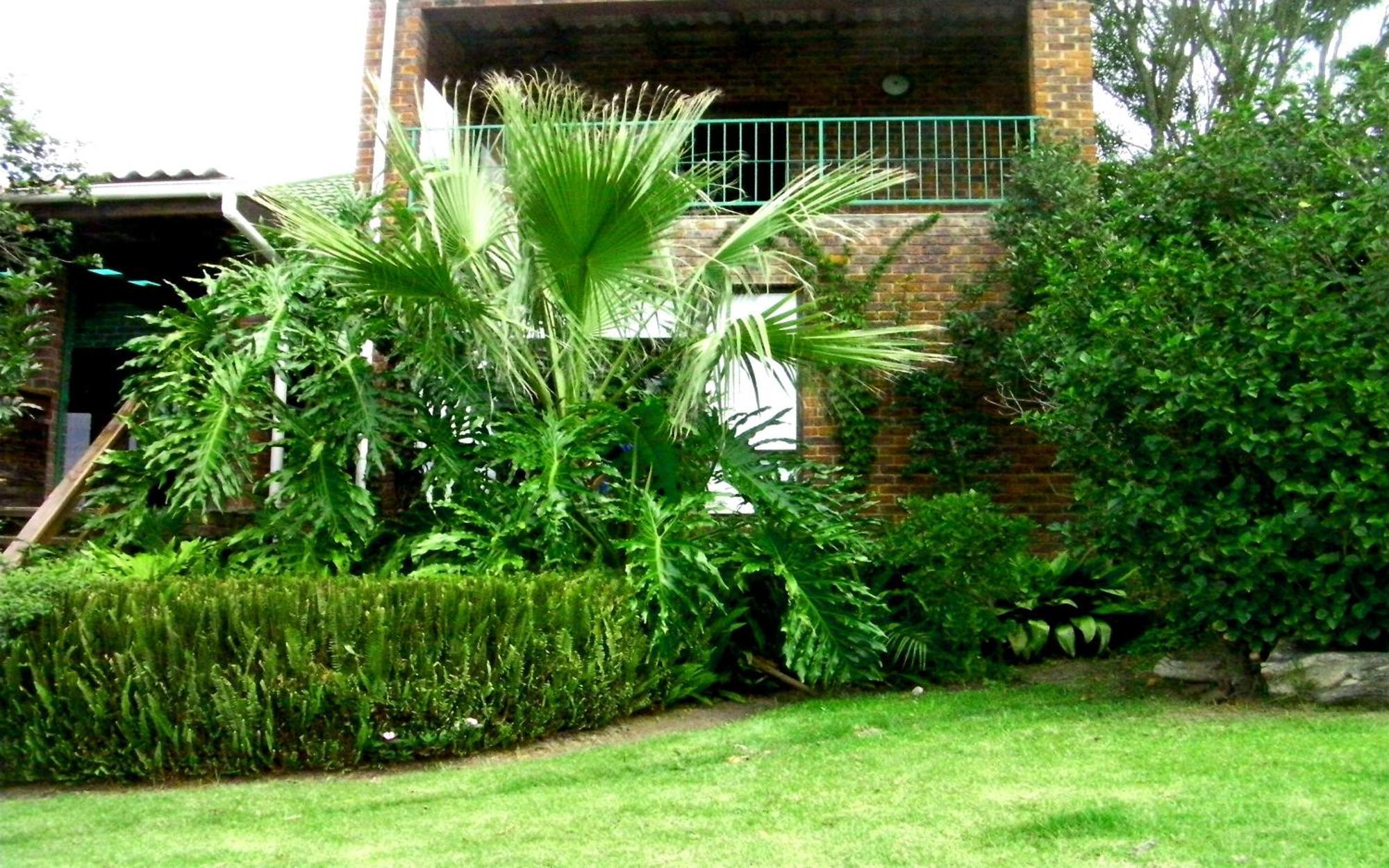 Tsitsikamma On Sea Resort Witelsbos Ngoại thất bức ảnh